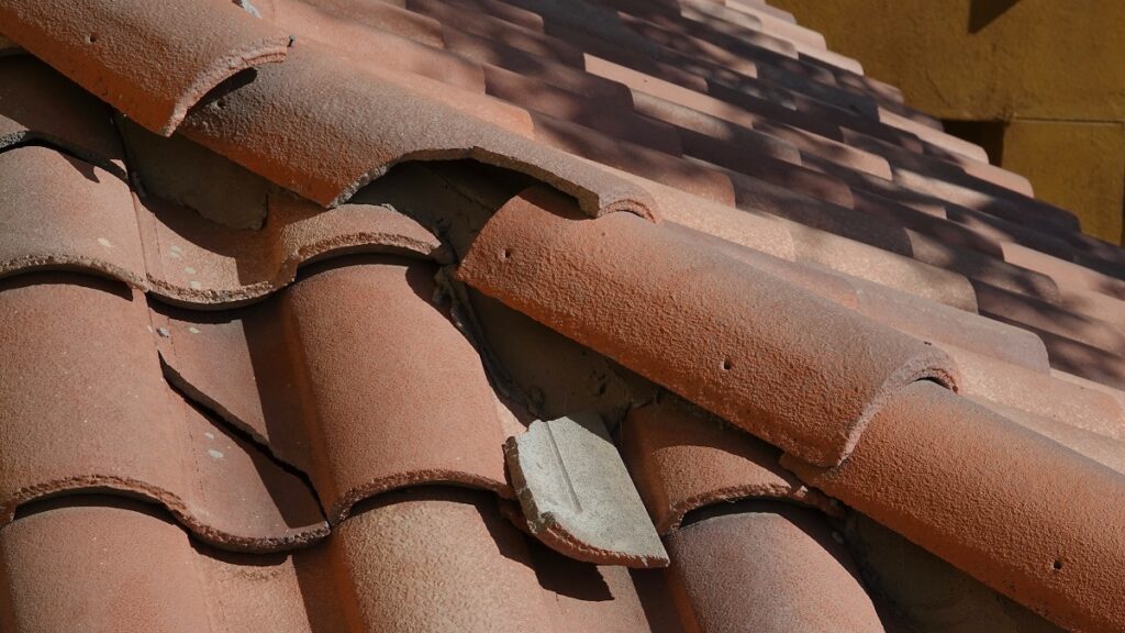 Signs of roof damage – broken tiles, debris buildup, and moss